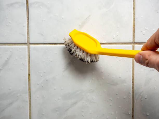 Best Toxic Mold Removal  in Reamstown, PA