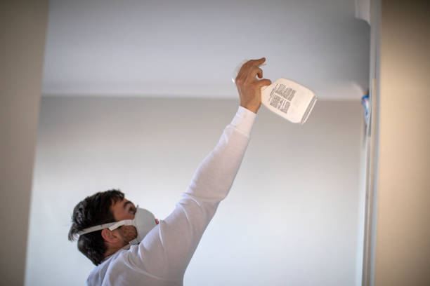 Attic Mold Removal in Reamstown, PA