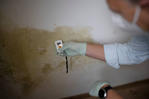 Best Emergency Mold Removal  in Reamstown, PA